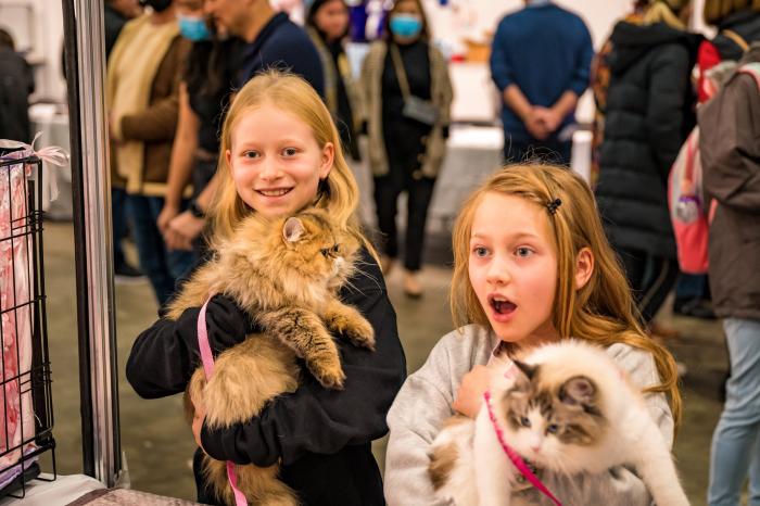 Cat Lovers Festival 2025