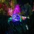 FUSE Festival 2025 - Opening Weekend