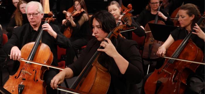The Metropolitan Orchestra: Cellists of TMO The Metropolitan Orchestra: Cellists of TMO
