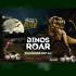 DinosRoar Experience 