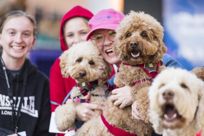 Dog Lovers Festival 2025 Dog Lovers Festival 2025