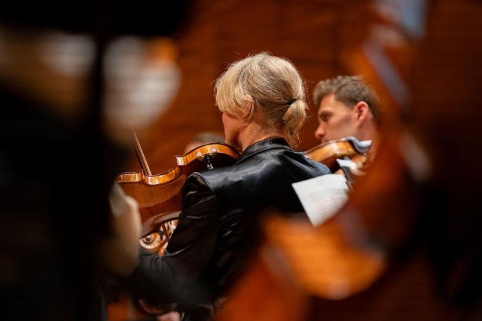 MSO: The Voice of the Viola: Fiona Sargeant MSO: The Voice of the Viola: Fiona Sargeant