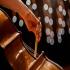 MSO Mornings: Respighi's Rome