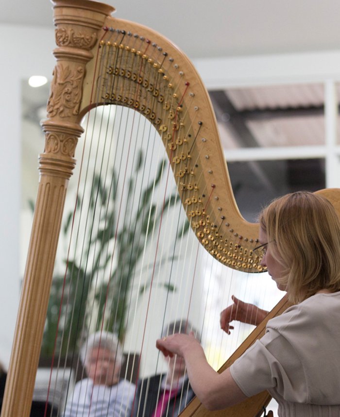 Megan Reeve: Christmas Harp Performance Megan Reeve: Christmas Harp Performance