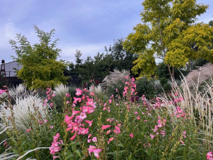 Garden Of Hope: Open Garden