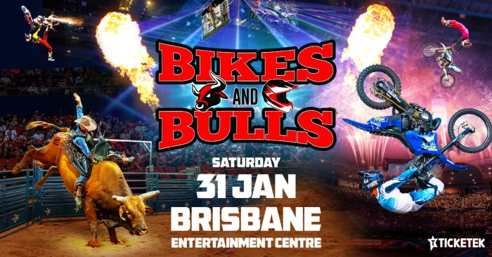 Bikes & Bulls