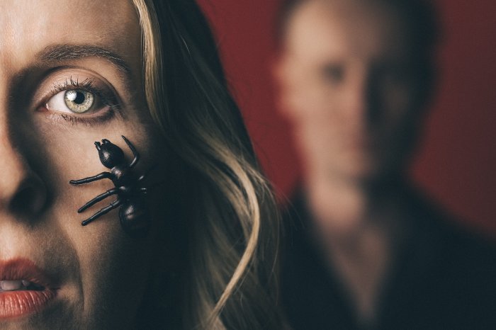 Head | Thorax | Abdomen