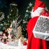 View Pullman Sydney Hyde Park Christmas Extravaganza