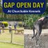 View Greyhound Adoption Program | Open Day - Churchable Kennels