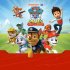View PAW Patrol Live! Race to the Rescue | Hobart